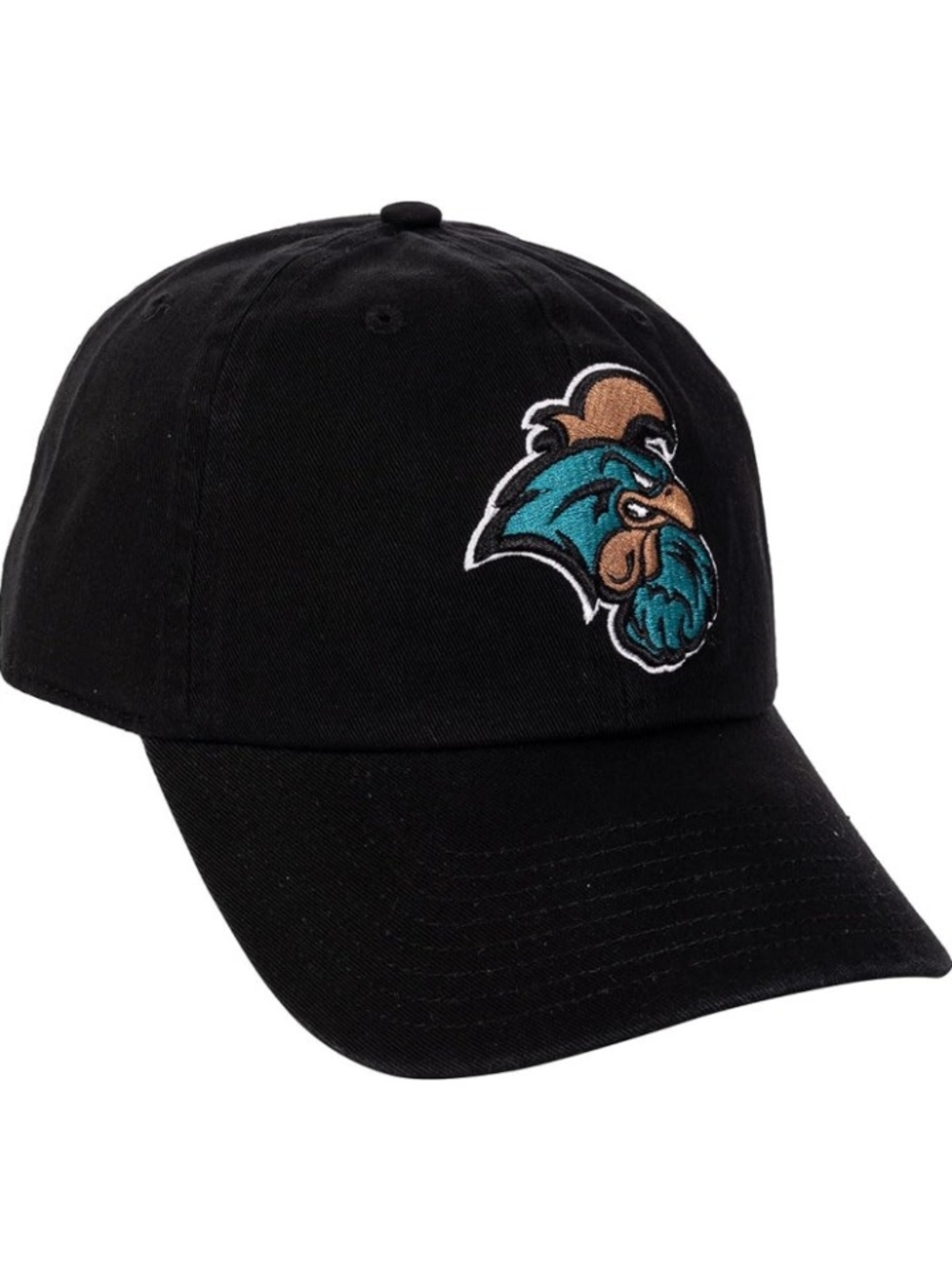 Desert Cactus Coastal Carolina University Embroidered Baseball Hat NWT